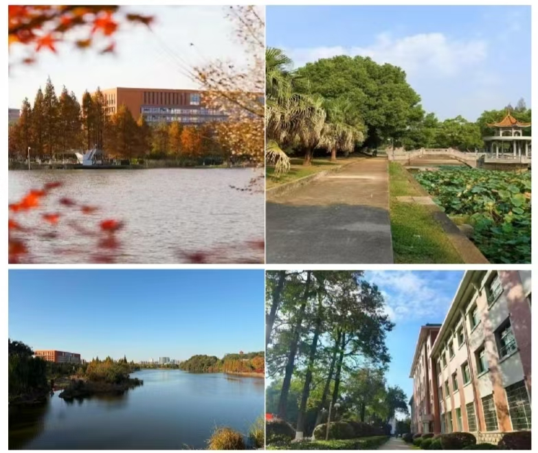 365英国上市公司