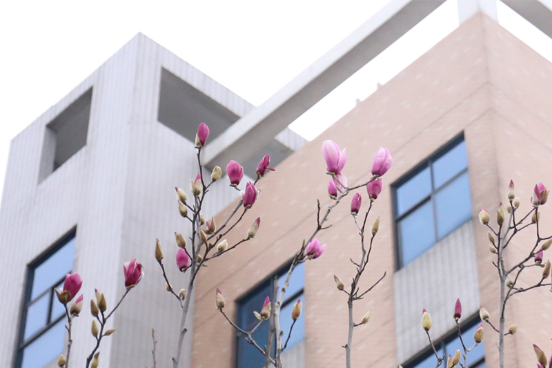 365英国上市公司